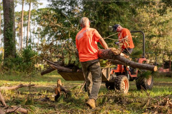 _placeholder.jpg (41 KB)